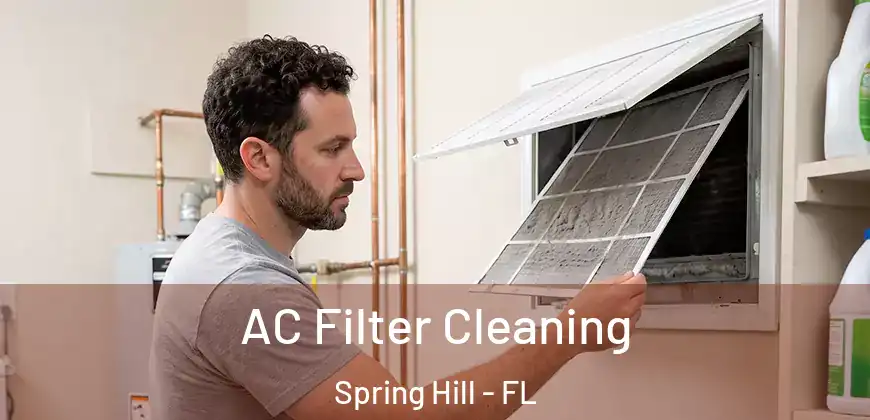 AC Filter Cleaning Spring Hill - FL