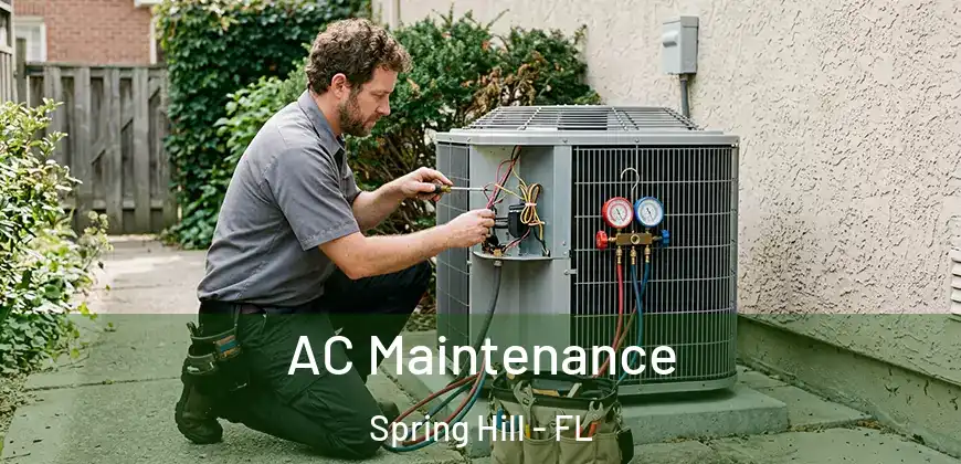 AC Maintenance Spring Hill - FL
