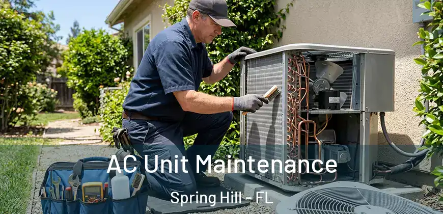 AC Unit Maintenance Spring Hill - FL