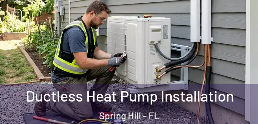Ductless Heat Pump Installation Spring Hill - FL