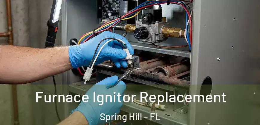 Furnace Ignitor Replacement Spring Hill - FL