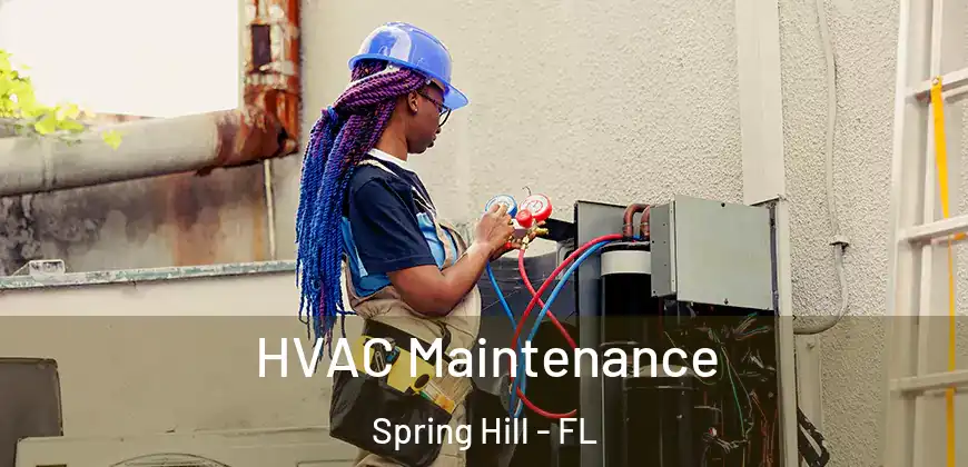 HVAC Maintenance Spring Hill - FL
